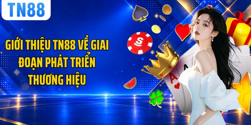 Giới thiệu TN88 về giai đoạn phát triển thương hiệu