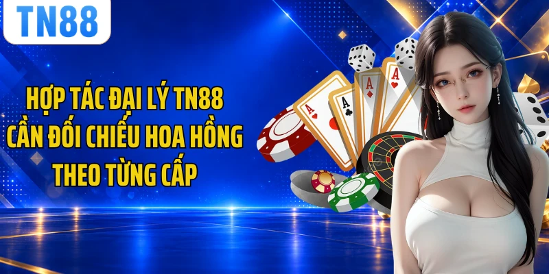 Hợp tác đại lý TN88 cần đối chiếu hoa hồng theo từng cấp
